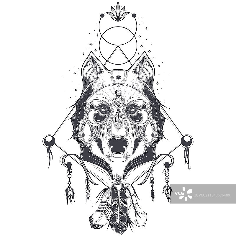 狼头几何素描正面图图片素材