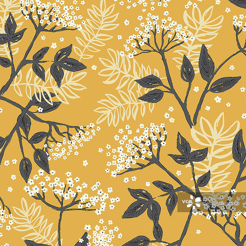 无缝接骨木花纹样图片素材