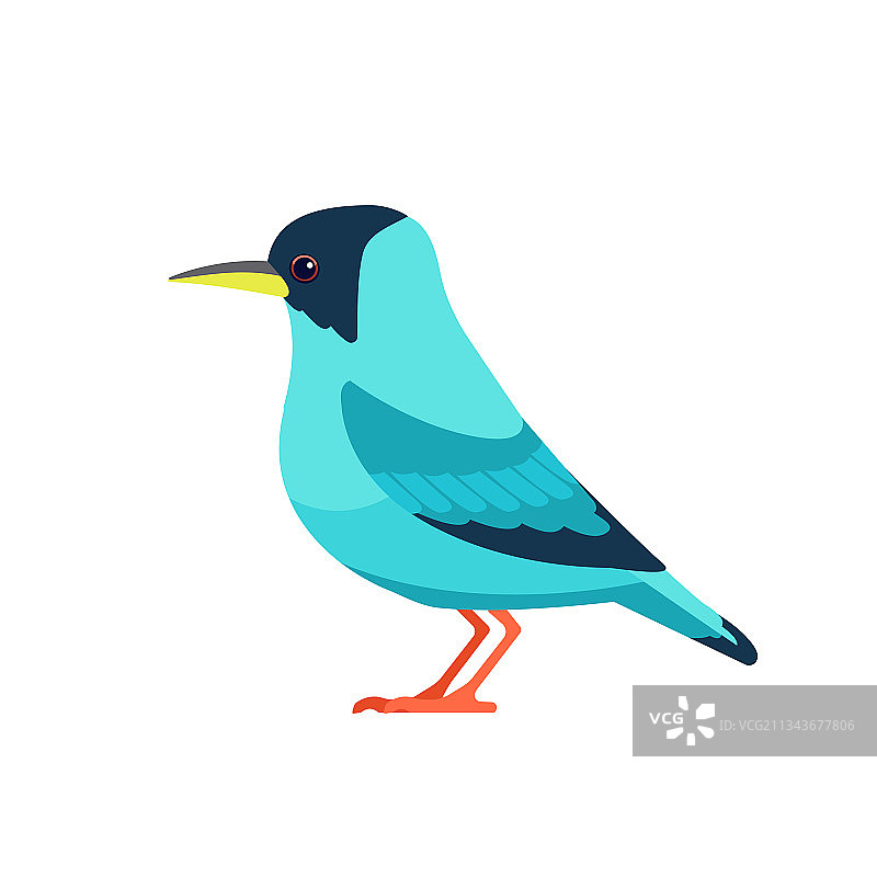 绿色小鸟图片素材