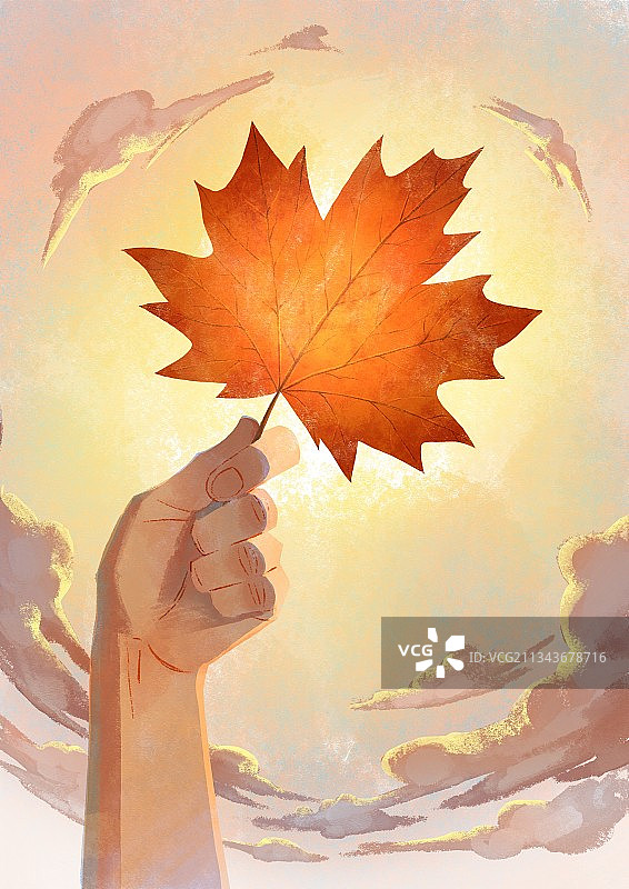 一只手举着一片红枫叶图片素材