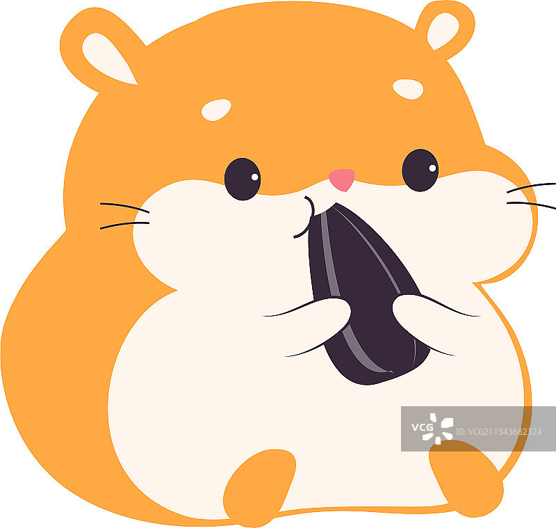 可爱仓鼠吃葵花籽图片素材
