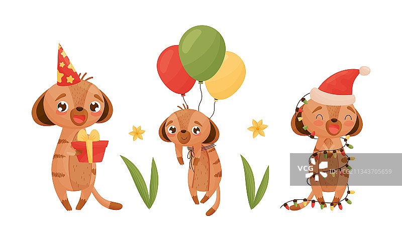 可爱的细尾獴图片素材