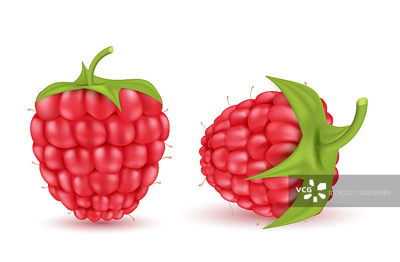 红色成熟的覆盆子夏季浆果水果图片素材