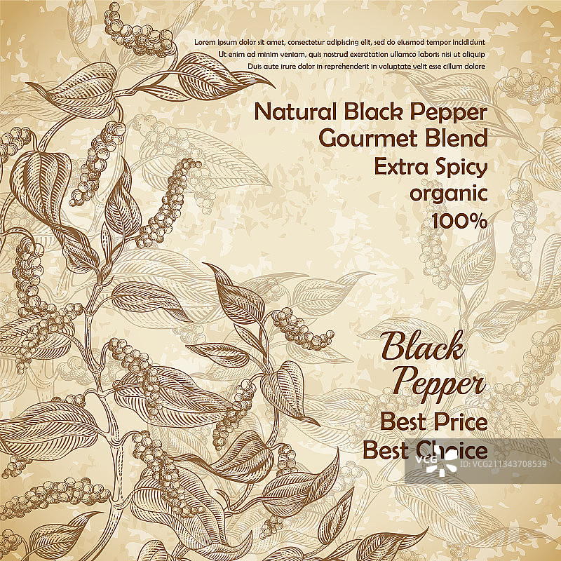 带黑胡椒植物的复古banner图片素材