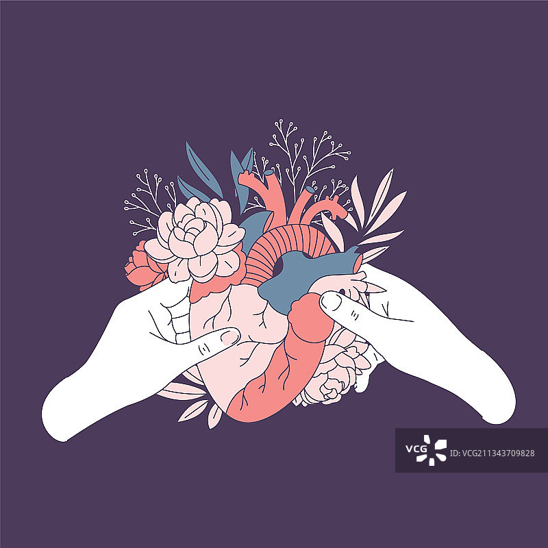 情侣手捧鲜花装饰的解剖心脏图片素材
