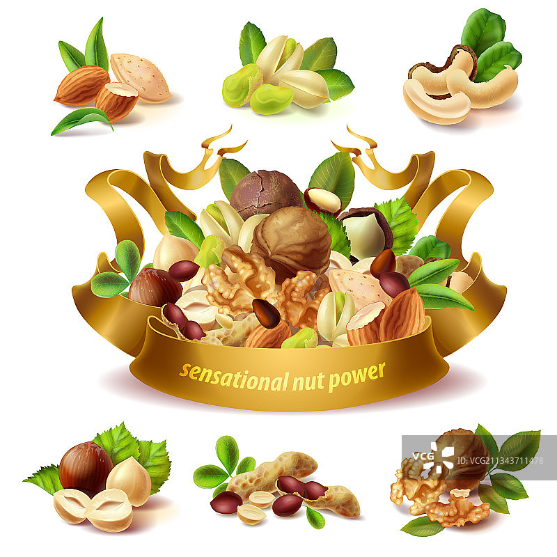 3D真实渲染不同坚果模型合集图片素材