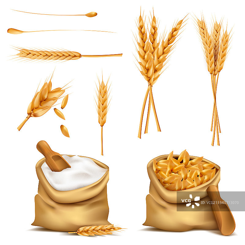 逼真3D谷物图标图片素材