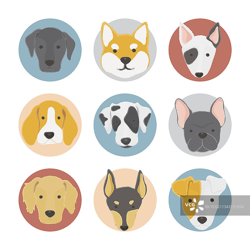 狗狗合集图片素材