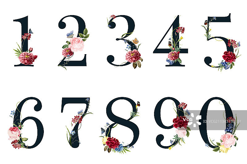 热带花卉植物数字图片素材