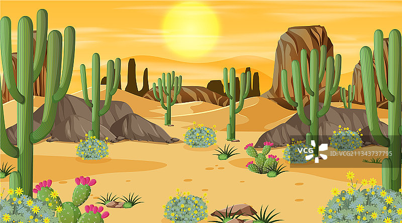 日落时分的沙漠森林景观图片素材