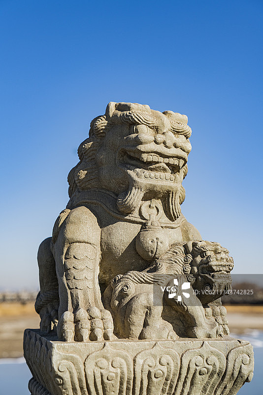 中国北京市卢沟桥石狮子图片素材
