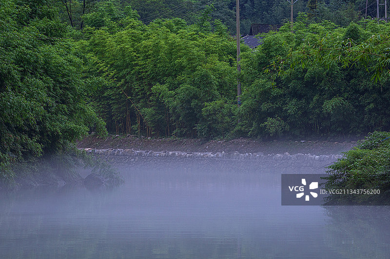 三峡竹海图片素材