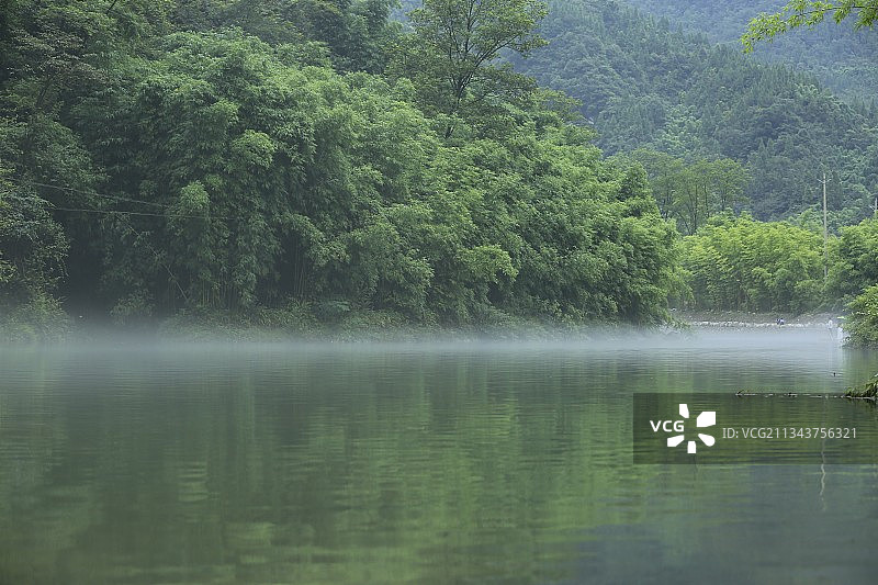 三峡竹海图片素材