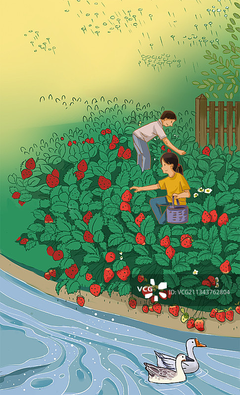 中国风田园生活美好乡村乡下采摘草莓农村生活方式背景插画图片素材