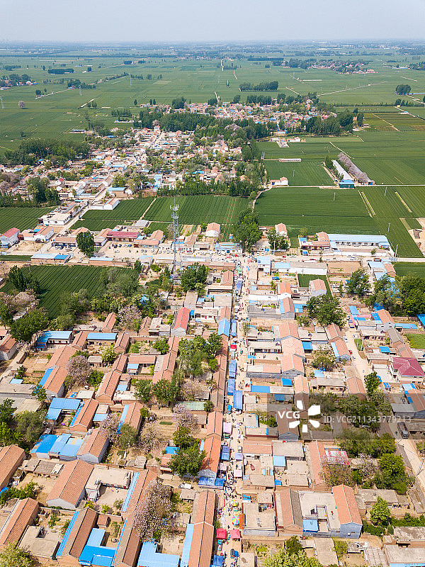 河南省濮阳清丰县农村春天户外风光航拍图片素材