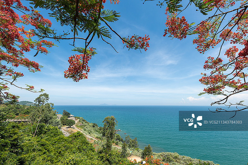 越南山茶半岛风光图片素材