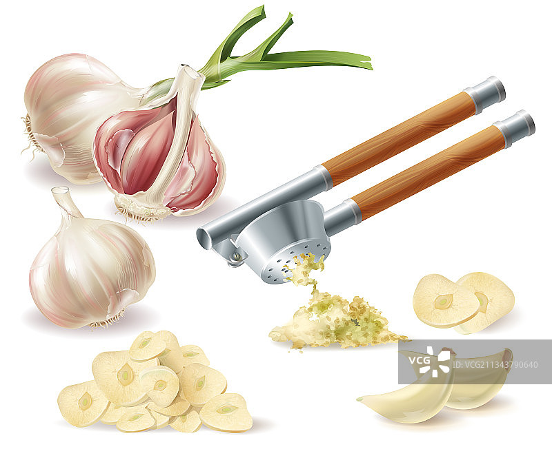 大蒜瓣和金属压蒜器剪贴画图片素材