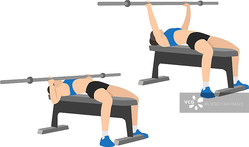 正在做杠铃卧推胸推的女人图片素材