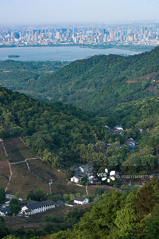 浙江省杭州西湖龙井茶园图片素材