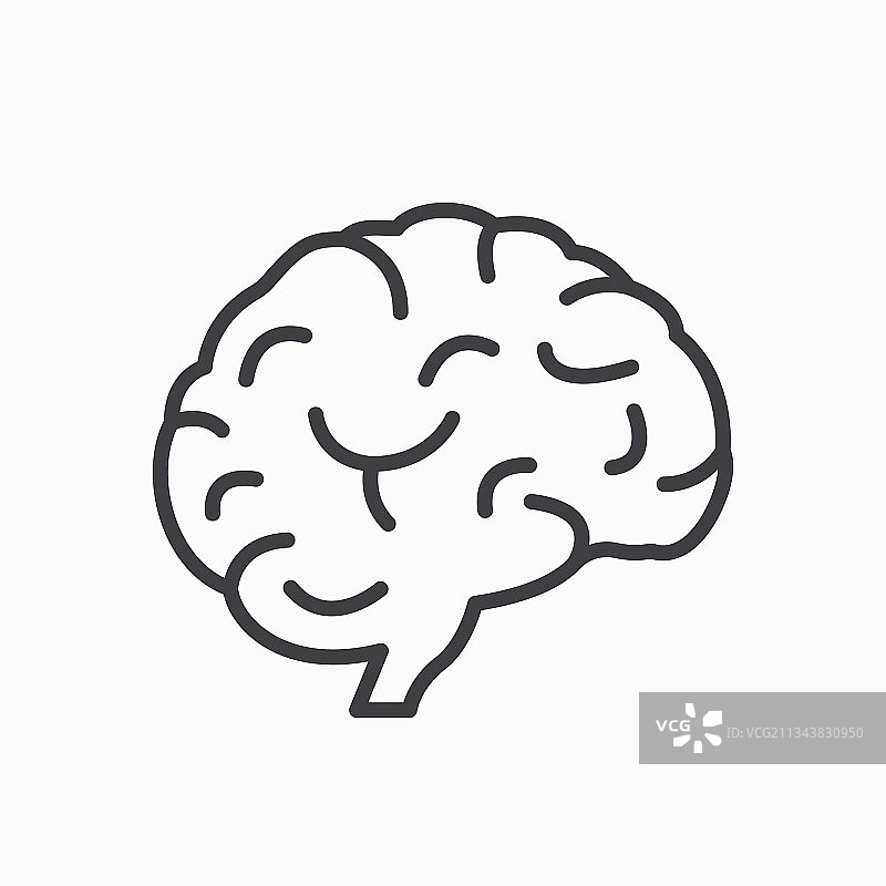 人脑线条图标，象征智慧与记忆图片素材