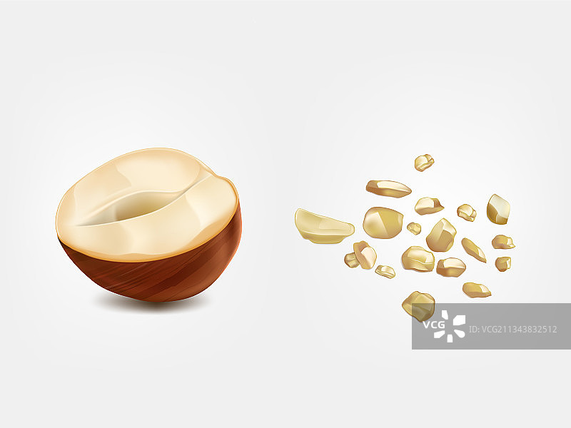 成熟的干榛子3D写实效果图片素材