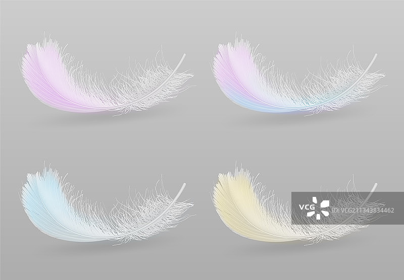 鸟类彩色羽毛3D逼真套装图片素材