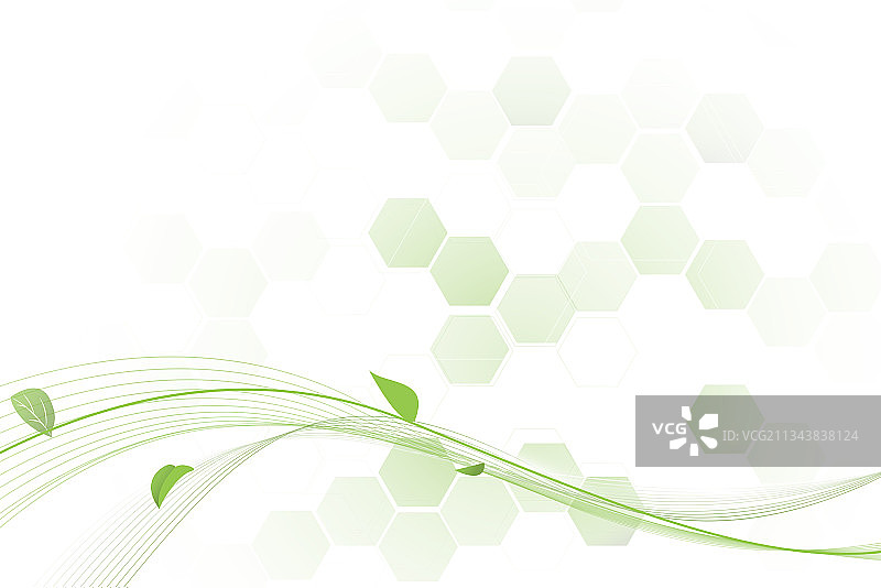 抽象绿色线条花卉几何背景图片素材