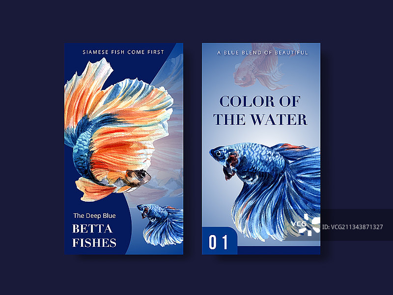 斗鱼Instagram模板图片素材