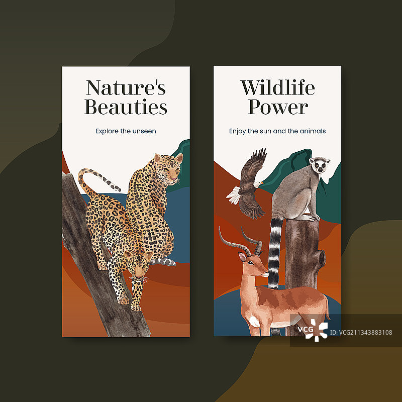 具有热带稀树草原野生动物概念的宣传单模板图片素材