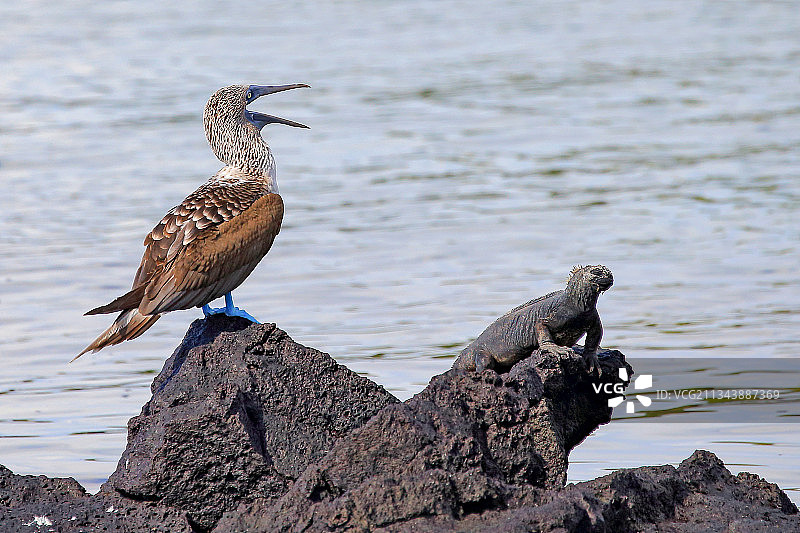相安无事图片素材