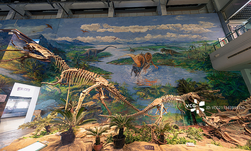 恐龙化石博物馆恐龙之乡图片素材