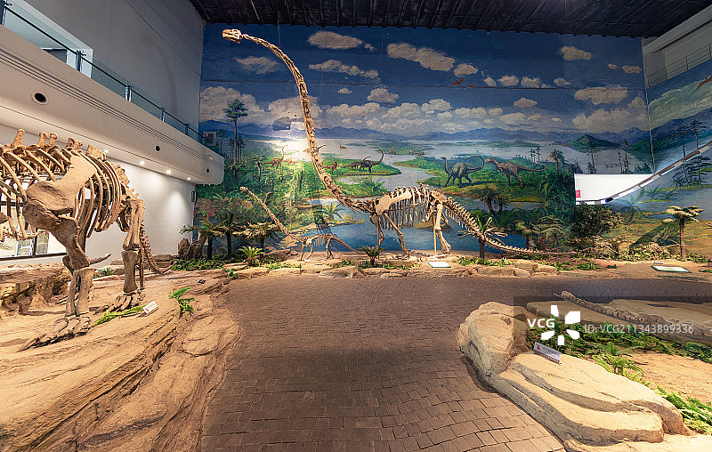 恐龙化石博物馆恐龙之乡图片素材