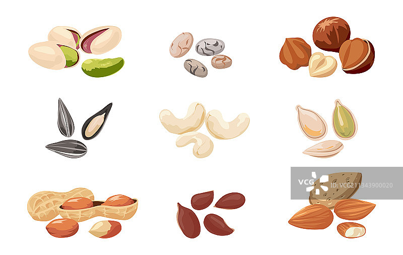 坚果和种子卡通开心果杏仁和图片素材