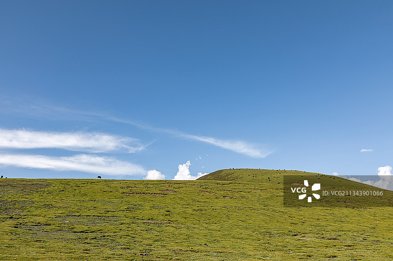 西藏昌都市江达县草原自然风光图片素材
