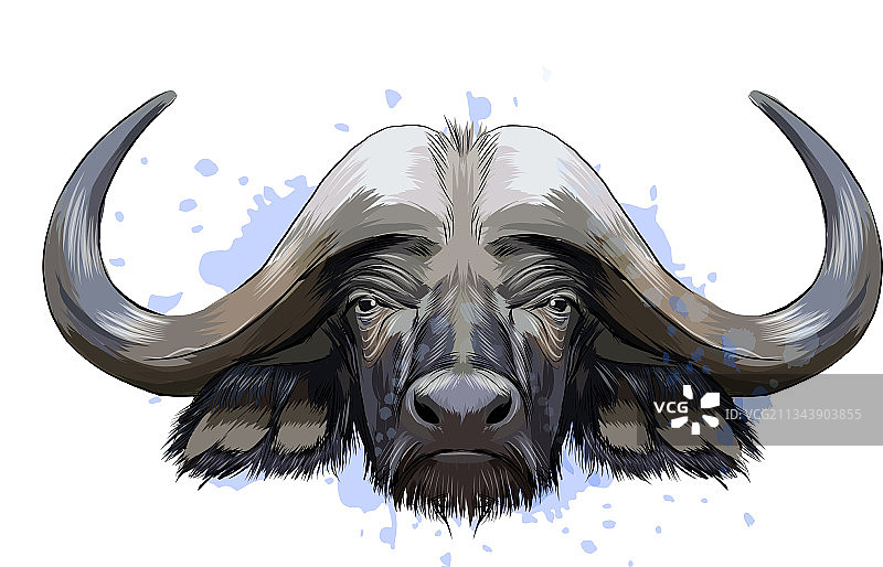 水彩飞溅风格的美洲野牛头部画像图片素材