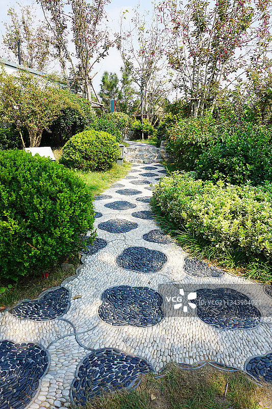 园林小路草地图片素材