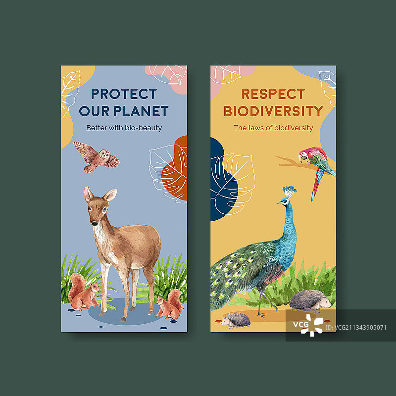 以生物多样性为主题的宣传单模板图片素材