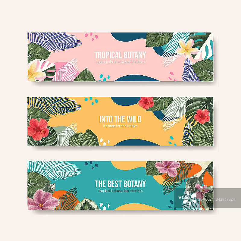 热带植物概念banner模板图片素材