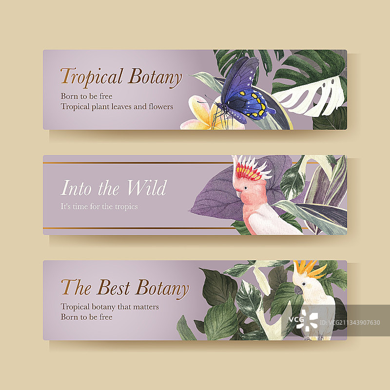 热带植物概念banner模板图片素材