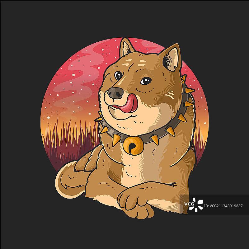 夏季放松的柴犬图片素材