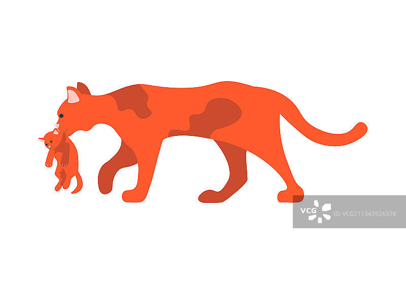 可爱的母猫抱着红色小猫图片素材