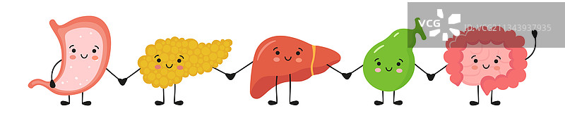 胃肠道器官可爱卡通形象图片素材