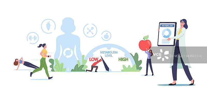 食物转化为能量的新陈代谢概念图片素材