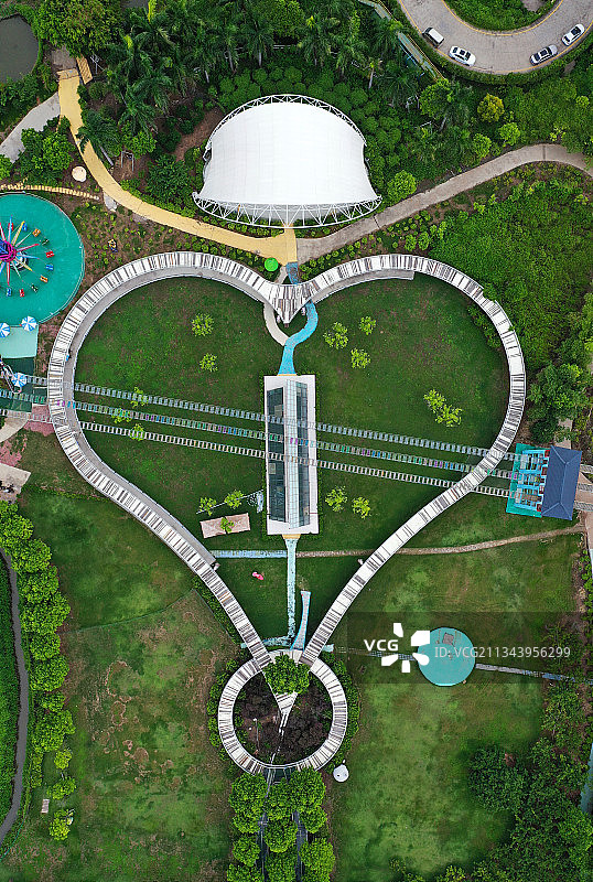 广东省广州市南沙区万顷沙镇百万葵园航拍图片素材