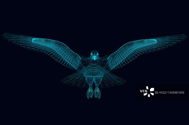 蓝色展翅雄鹰线框图图片素材