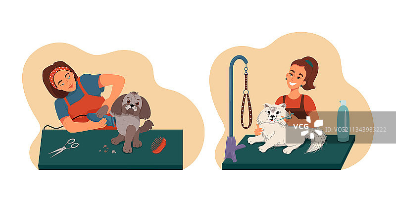 宠物美容套装：美容师为狗狗洗澡图片素材