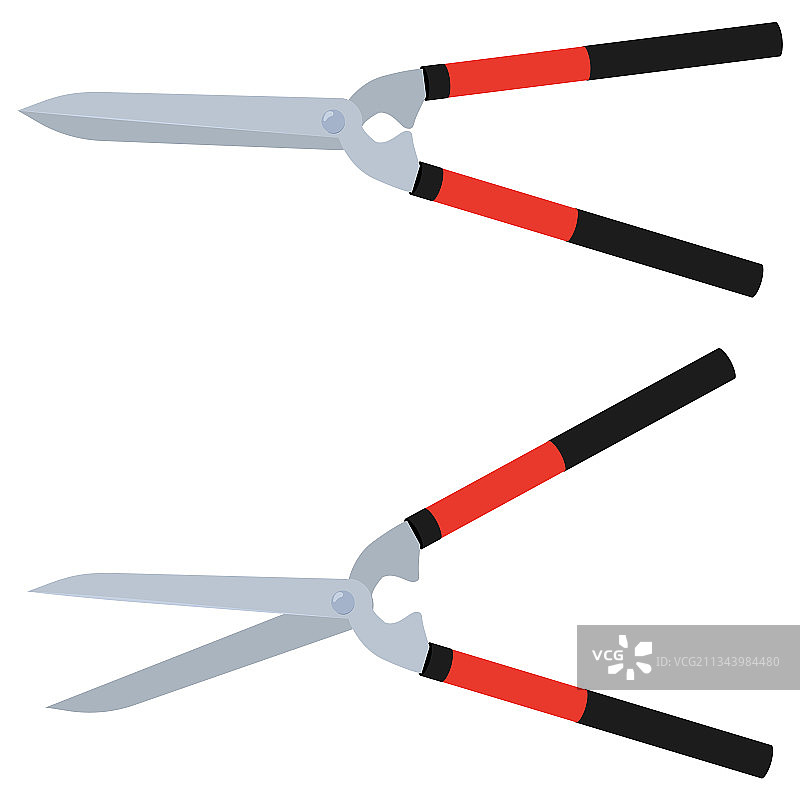 白色背景上的绿篱剪刀图片素材
