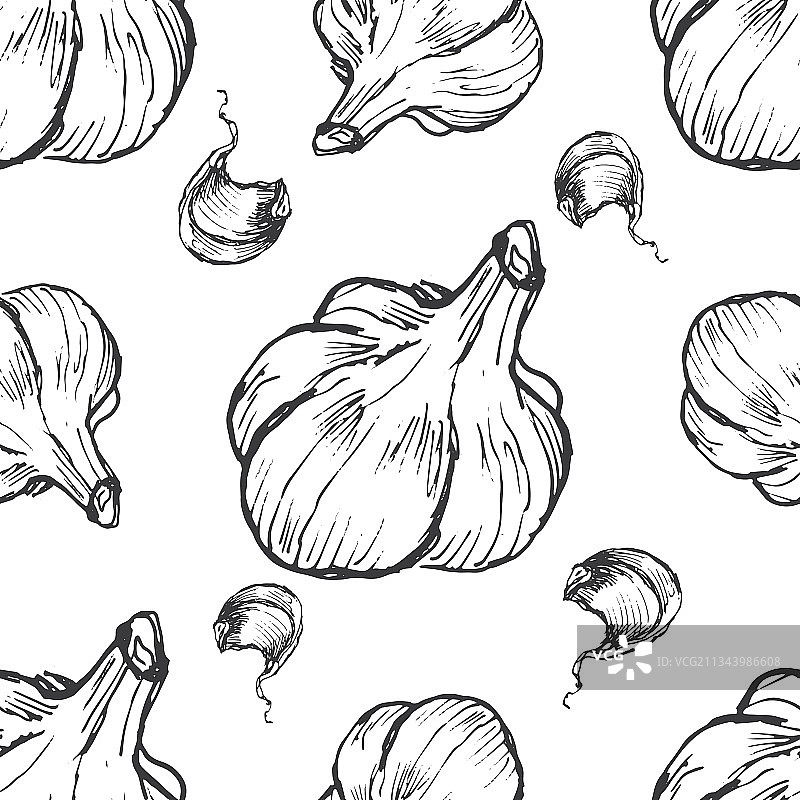 大蒜蔬菜图形涂鸦草图图片素材