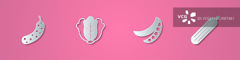 黄瓜卷心菜青豆剪纸套装图片素材