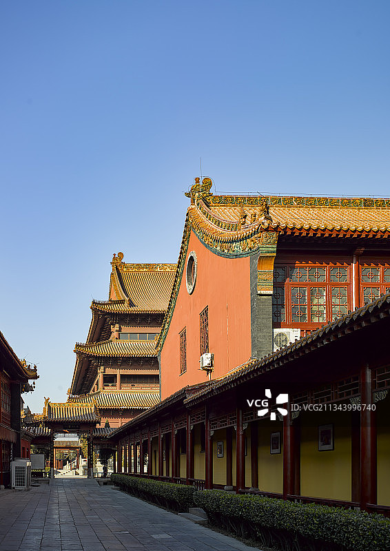 河北省石家庄市赵县栢林禅寺图片素材